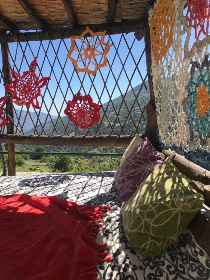 "Casa Ibero" Bubion, Alojamiento Turistico Rural Dış mekan fotoğraf