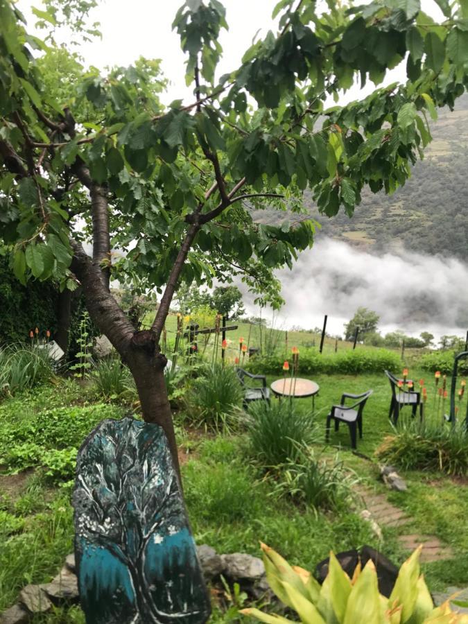 "Casa Ibero" Bubion, Alojamiento Turistico Rural Dış mekan fotoğraf