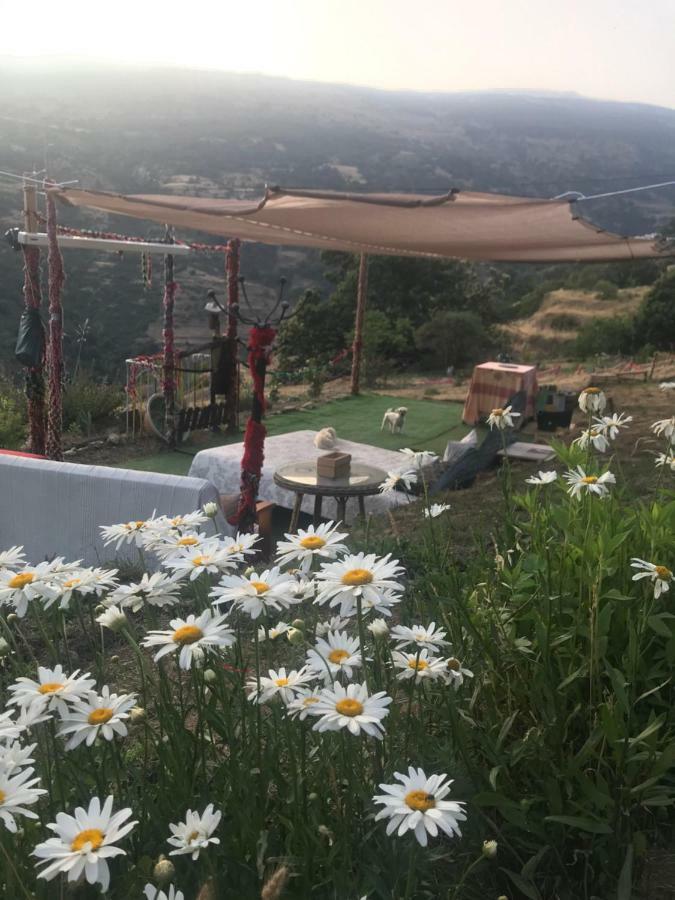 "Casa Ibero" Bubion, Alojamiento Turistico Rural Dış mekan fotoğraf