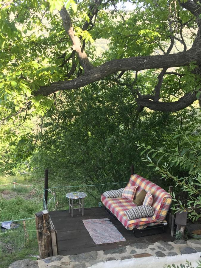 "Casa Ibero" Bubion, Alojamiento Turistico Rural Dış mekan fotoğraf